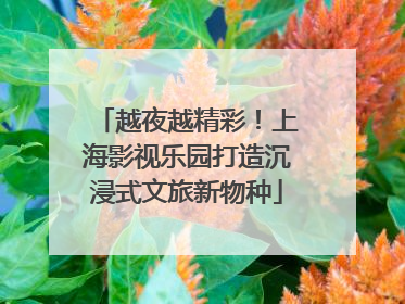 越夜越精彩！上海影视乐园打造沉浸式文旅新物种