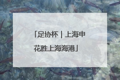 足协杯｜上海申花胜上海海港