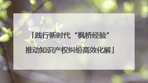 践行新时代“枫桥经验” 推动知识产权纠纷高效化解