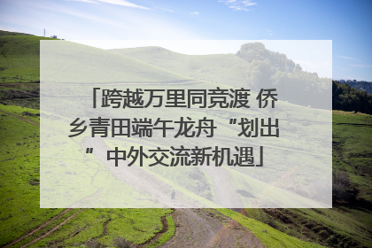 跨越万里同竞渡 侨乡青田端午龙舟“划出”中外交流新机遇