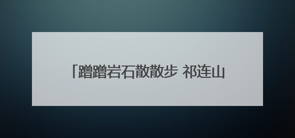 蹭蹭岩石散散步 祁连山拍到雪豹和豺撒欢画面