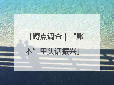 蹲点调查｜“账本”里头话振兴