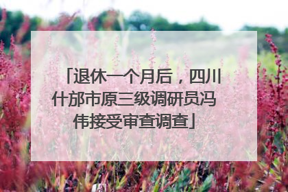 退休一个月后，四川什邡市原三级调研员冯伟接受审查调查