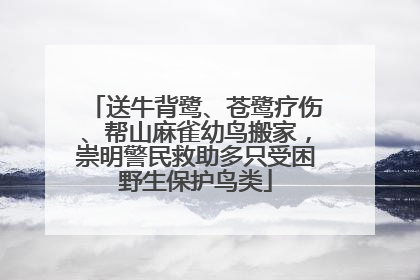 送牛背鹭、苍鹭疗伤、帮山麻雀幼鸟搬家，崇明警民救助多只受困野生保护鸟类