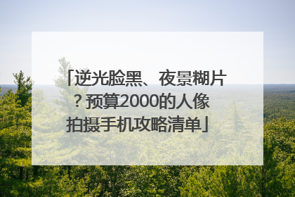 逆光脸黑、夜景糊片？预算2000的人像拍摄手机攻略清单