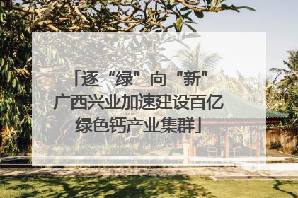 逐“绿”向“新” 广西兴业加速建设百亿绿色钙产业集群