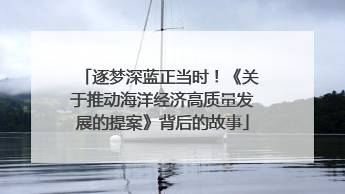 逐梦深蓝正当时！《关于推动海洋经济高质量发展的提案》背后的故事