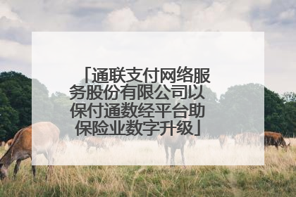 通联支付网络服务股份有限公司以保付通数经平台助保险业数字升级