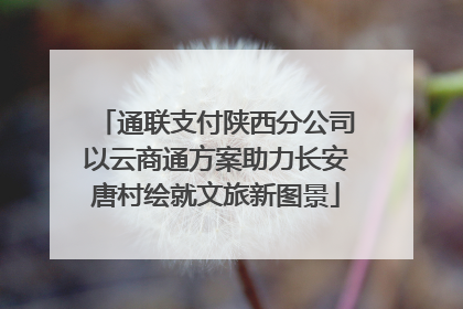 通联支付陕西分公司以云商通方案助力长安唐村绘就文旅新图景