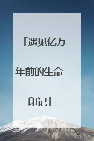 遇见亿万年前的生命印记