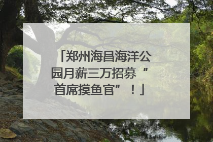 郑州海昌海洋公园月薪三万招募“首席摸鱼官”！