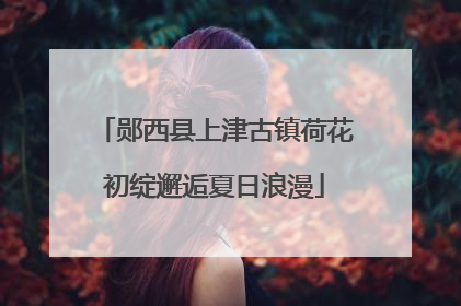 郧西县上津古镇荷花初绽邂逅夏日浪漫