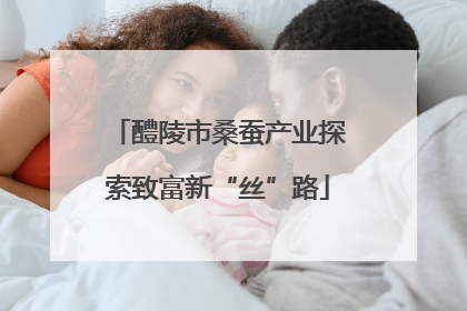 醴陵市桑蚕产业探索致富新“丝”路