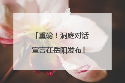 重磅！洞庭对话宣言在岳阳发布