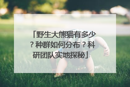 野生大熊猫有多少？种群如何分布？科研团队实地探秘