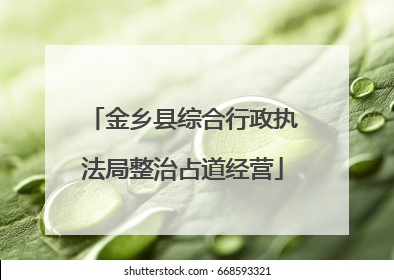 金乡县综合行政执法局整治占道经营