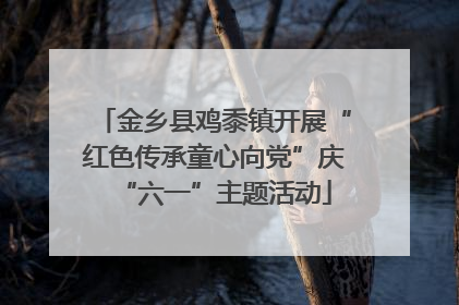 金乡县鸡黍镇开展“红色传承童心向党”庆“六一”主题活动