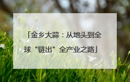 金乡大蒜：从地头到全球“链出”全产业之路
