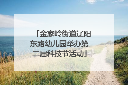 金家岭街道辽阳东路幼儿园举办第二届科技节活动