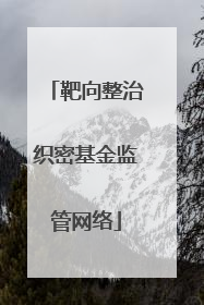 靶向整治织密基金监管网络