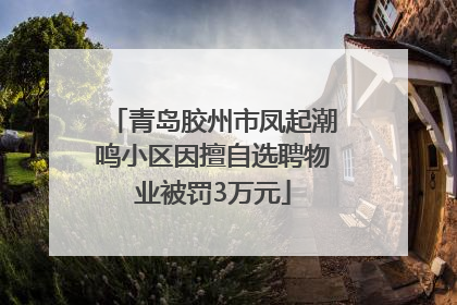 青岛胶州市凤起潮鸣小区因擅自选聘物业被罚3万元