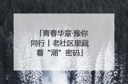 青春华章·豫你同行丨老社区里藏着“潮”密码