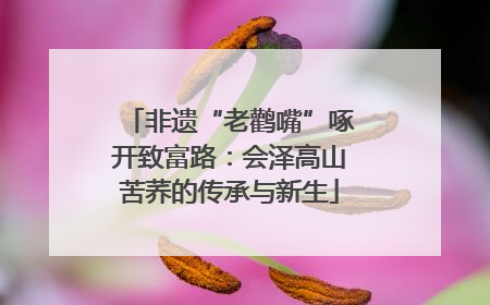 非遗“老鹳嘴”啄开致富路：会泽高山苦荞的传承与新生