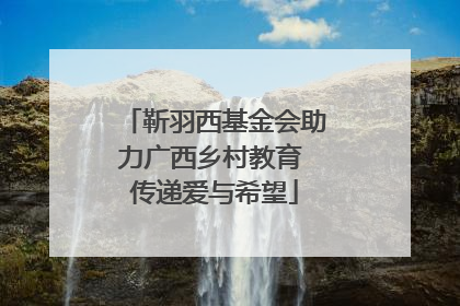 靳羽西基金会助力广西乡村教育 传递爱与希望
