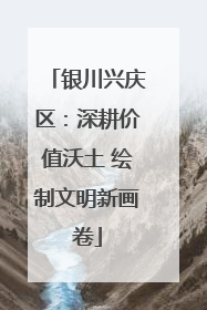 银川兴庆区：深耕价值沃土 绘制文明新画卷