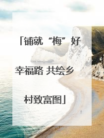 铺就“梅”好幸福路 共绘乡村致富图