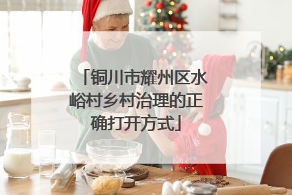 铜川市耀州区水峪村乡村治理的正确打开方式