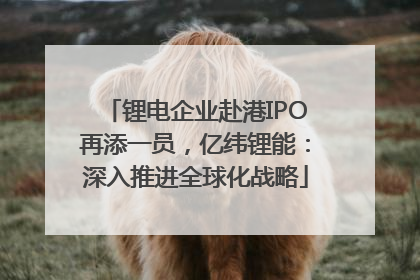 锂电企业赴港IPO再添一员,亿纬锂能:深入推进全球化战略