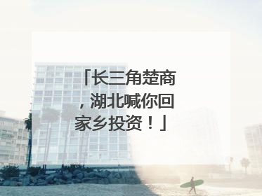 长三角楚商，湖北喊你回家乡投资！