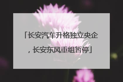 长安汽车升格独立央企，长安东风重组暂停