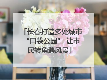 长春打造多处城市“口袋公园” 让市民转角遇风景