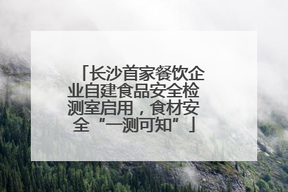 长沙首家餐饮企业自建食品安全检测室启用，食材安全“一测可知”