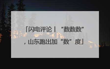 闪电评论丨“数数数”，山东跑出加“数”度