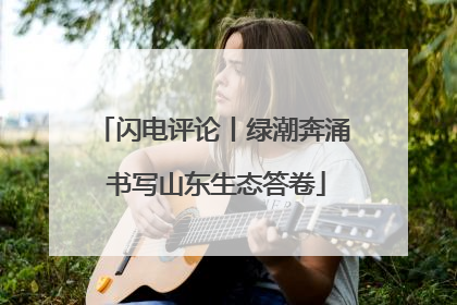 闪电评论丨绿潮奔涌 书写山东生态答卷