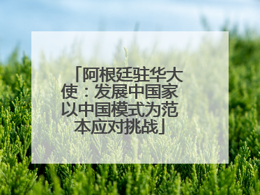 阿根廷驻华大使：发展中国家以中国模式为范本应对挑战