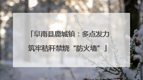 阜南县鹿城镇：多点发力 筑牢秸秆禁烧“防火墙”