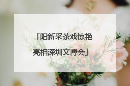阳新采茶戏惊艳亮相深圳文博会