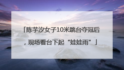 陈芋汐女子10米跳台夺冠后，现场看台下起“娃娃雨”