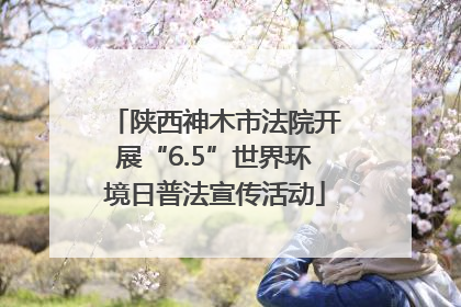 陕西神木市法院开展“6.5”世界环境日普法宣传活动