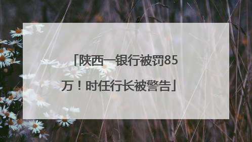 陕西一银行被罚85万！时任行长被警告