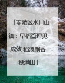 零陵区水口山镇：早稻管理见成效 稻浪飘香穗满田