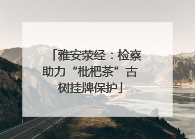 雅安荥经：检察助力“枇杷茶”古树挂牌保护