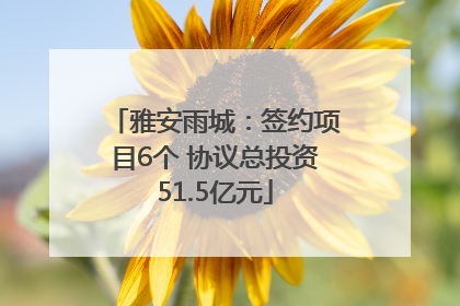 雅安雨城：签约项目6个 协议总投资51.5亿元