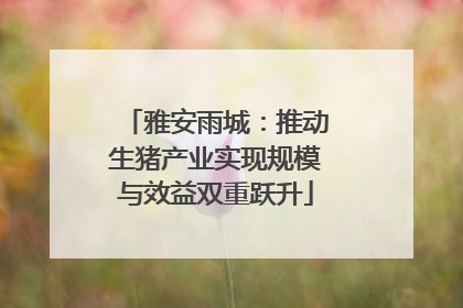 雅安雨城：推动生猪产业实现规模与效益双重跃升