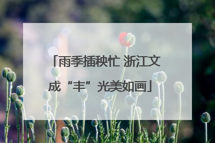 雨季插秧忙 浙江文成“丰”光美如画
