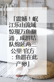 震撼！岷江乐山流域惊现万鱼翻涌，成群结队绵延两三公里 官方：鱼群在此产卵